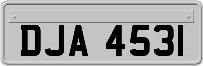 DJA4531