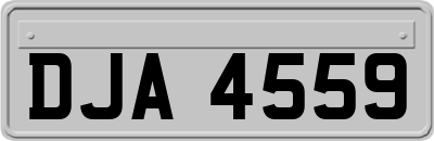 DJA4559
