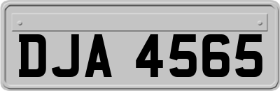 DJA4565