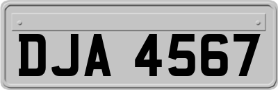 DJA4567