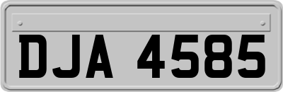DJA4585