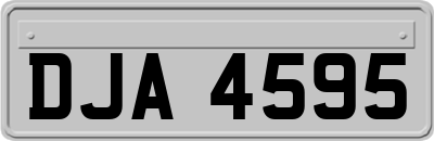 DJA4595