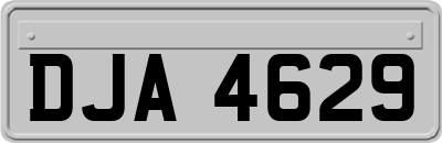 DJA4629