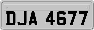 DJA4677