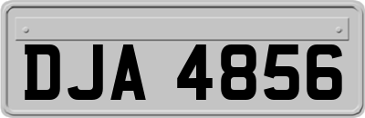 DJA4856