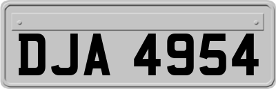 DJA4954