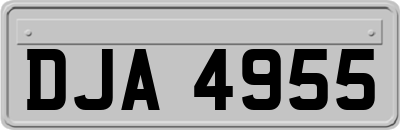 DJA4955