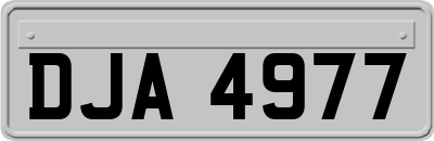 DJA4977