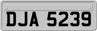 DJA5239