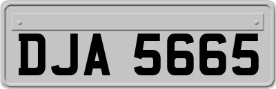 DJA5665