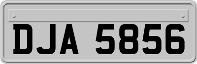 DJA5856