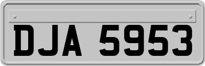 DJA5953