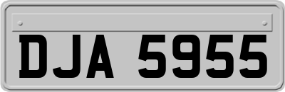 DJA5955