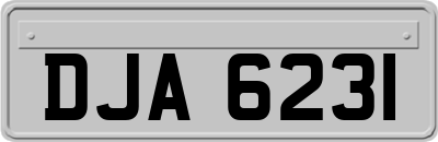 DJA6231