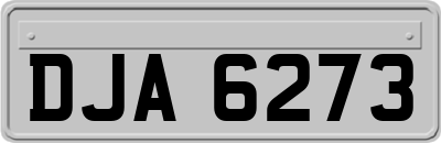 DJA6273