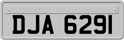 DJA6291