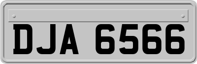 DJA6566