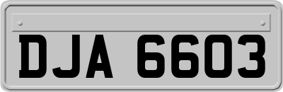 DJA6603
