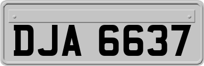 DJA6637