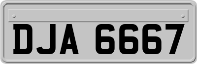DJA6667
