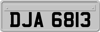 DJA6813