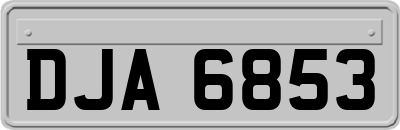 DJA6853
