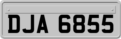 DJA6855