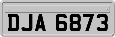 DJA6873