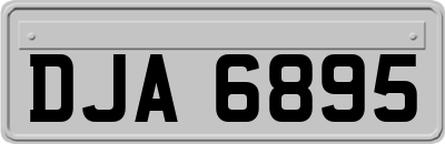 DJA6895