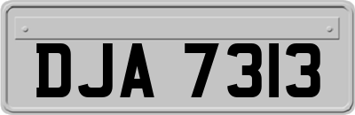 DJA7313