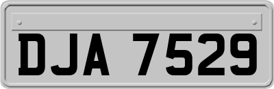 DJA7529