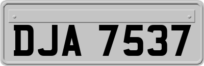 DJA7537