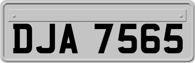 DJA7565