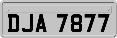 DJA7877