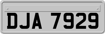 DJA7929