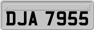 DJA7955