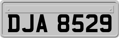 DJA8529