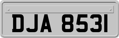 DJA8531