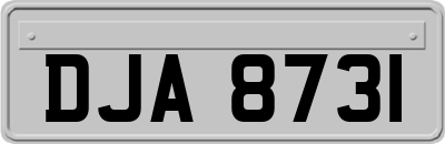 DJA8731