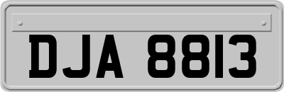DJA8813