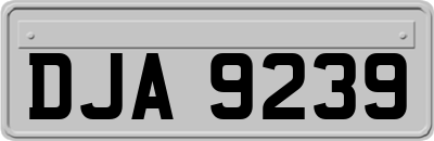 DJA9239