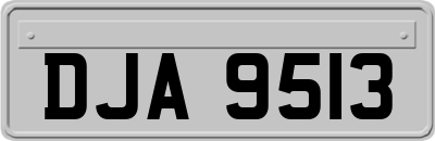 DJA9513