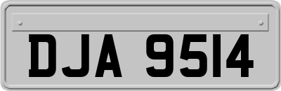 DJA9514