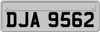 DJA9562