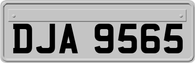 DJA9565