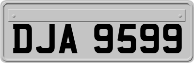 DJA9599