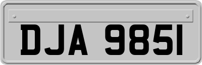 DJA9851