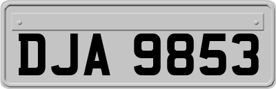 DJA9853
