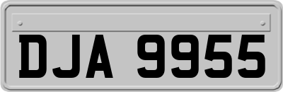 DJA9955