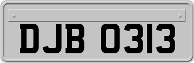 DJB0313